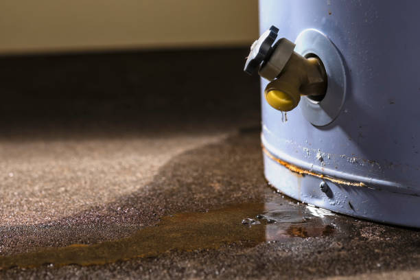 Best Flood damage cleanup  in Riverdale Park, CA