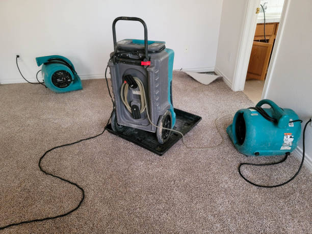 Best Residential water damage restoration  in Riverdale Park, CA