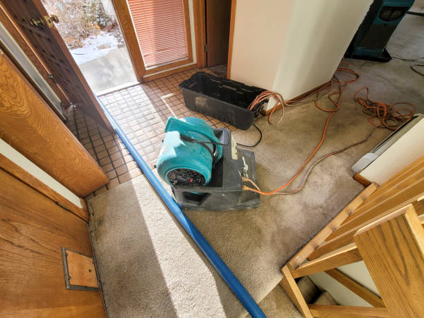 Best Flood restoration services  in Riverdale Park, CA
