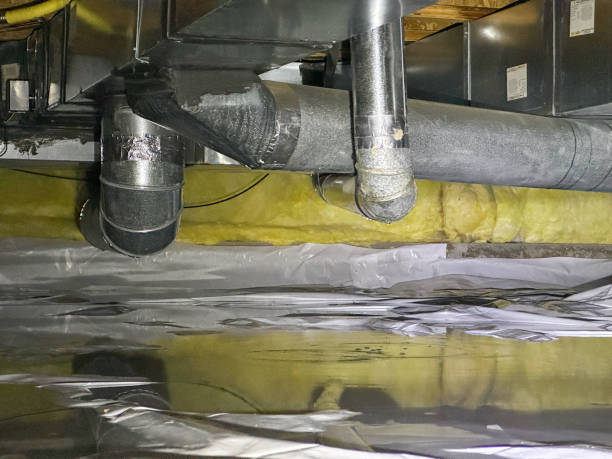 Best Ceiling water damage repair  in Riverdale Park, CA